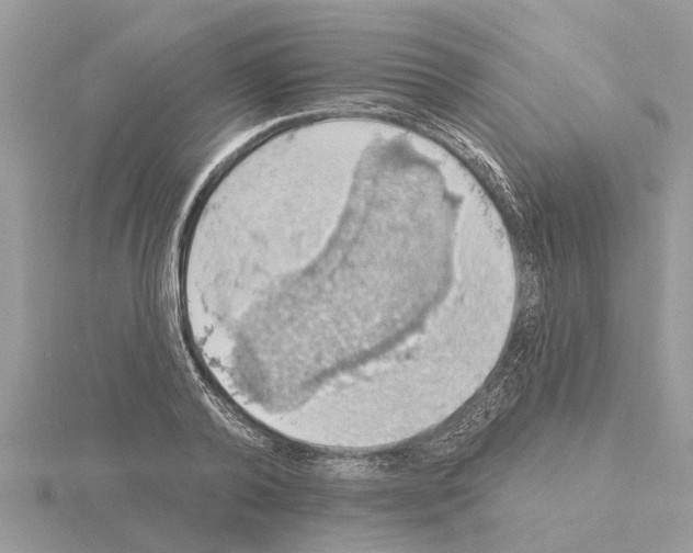 X0000115030792200912071048