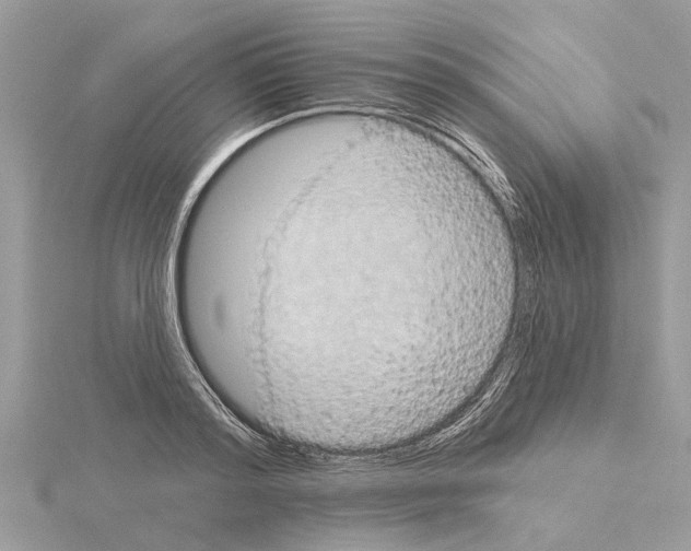 X0000115030796200912071048