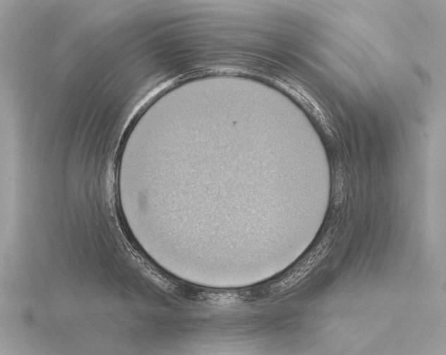 X0000115030798200912071048