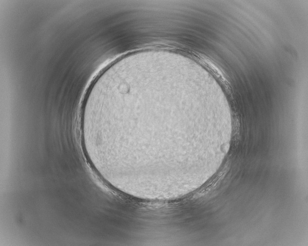 X0000115030800200912071048