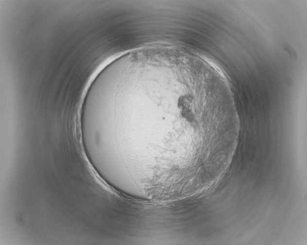 X0000115030808200912071047