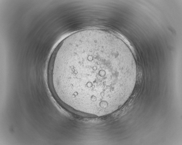 X0000115030811200912071047