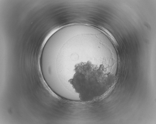 X0000115030812200912071047