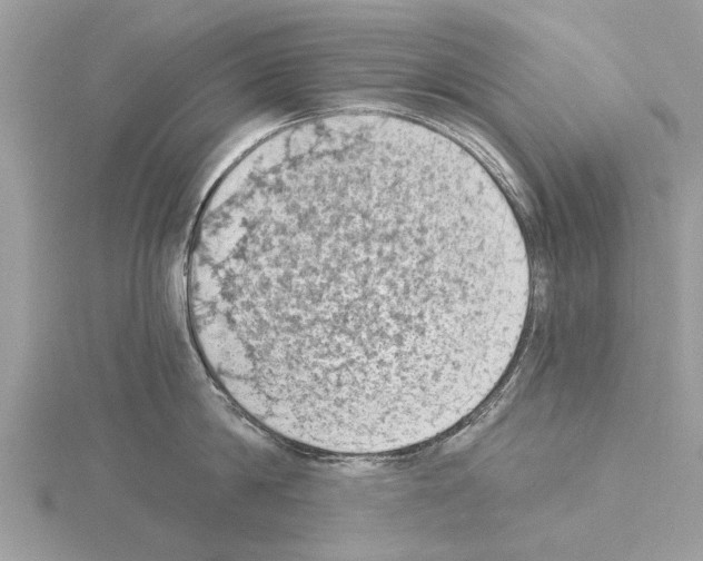 X0000115030814200912071047