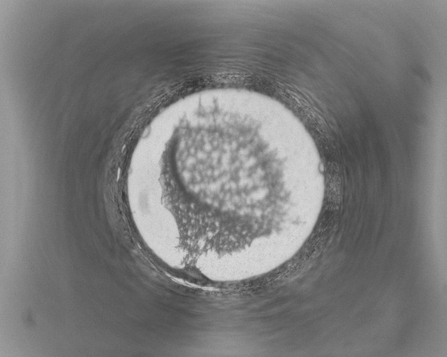 X0000115030817200912071047