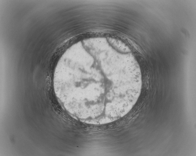 X0000115030821200912071047