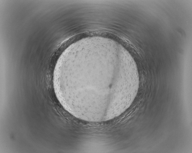 X0000115030822200912071047