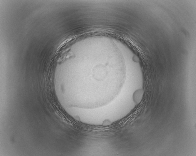 X0000115030824200912071047