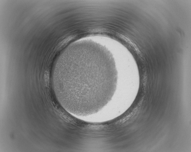 X0000115030825200912071047