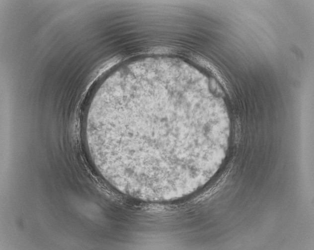 X0000115030827200912071047