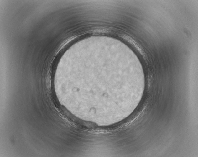 X0000115030829200912071047