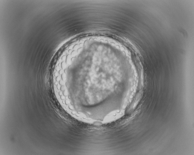 X0000115030830200912071047