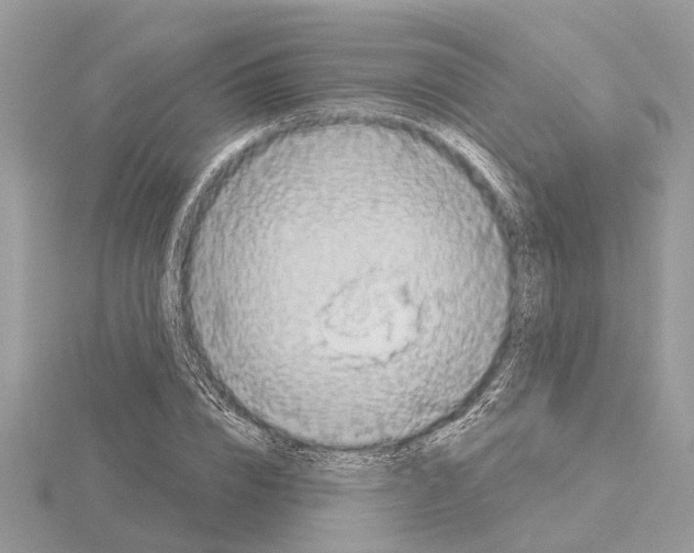 X0000115030832200912071047