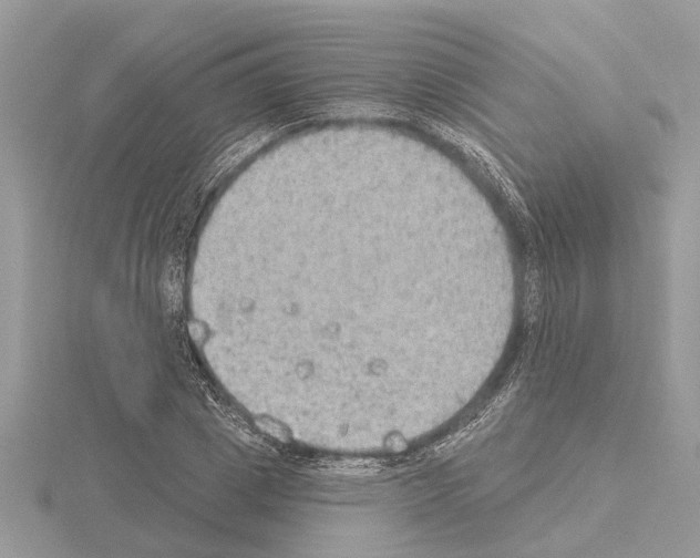 X0000115030833200912071047