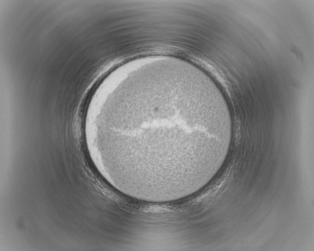 X0000115030835200912071047