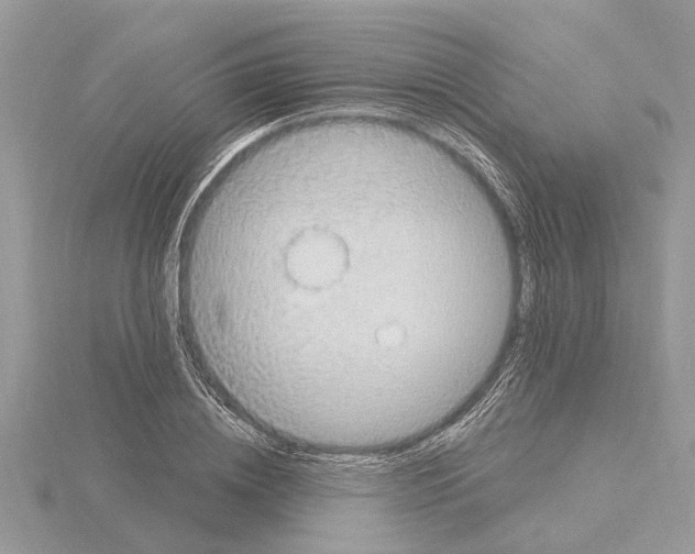 X0000115030836200912071047