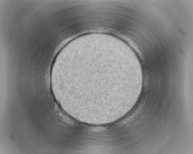 X0000115030837200912071047