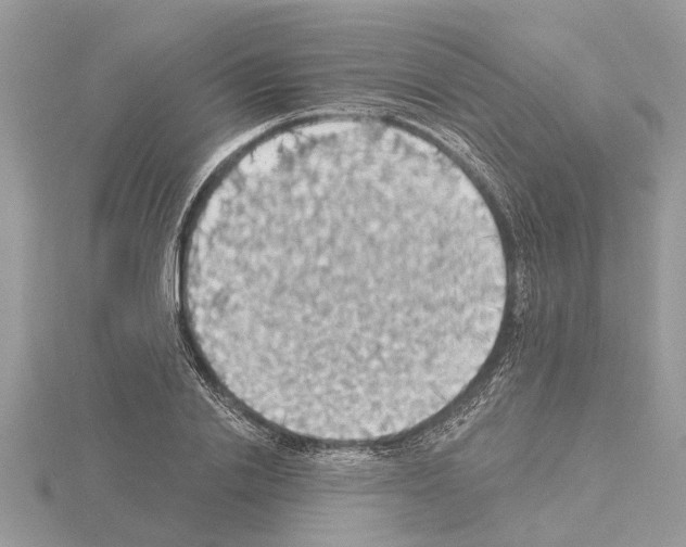 X0000115030838200912071047