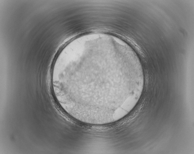 X0000115030840200912071047