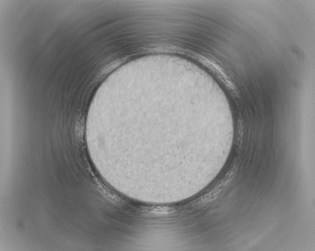 X0000115030841200912071047