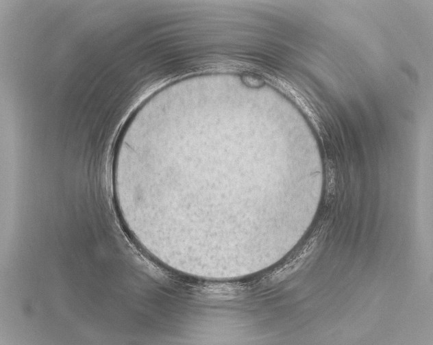 X0000115030843200912071047