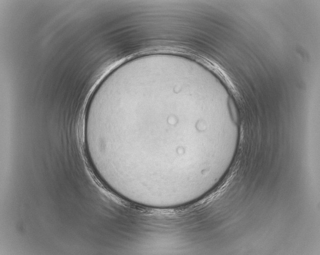 X0000115030844200912071047