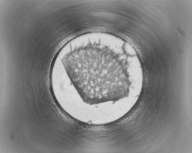 X0000115030845200912071047