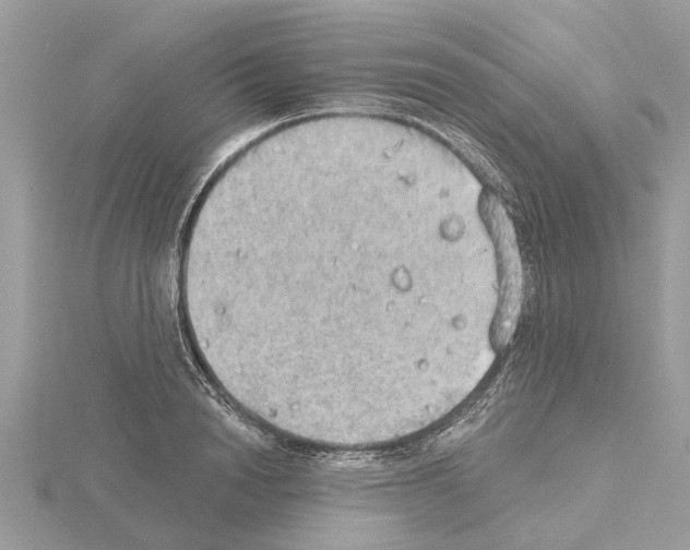 X0000115030846200912071047