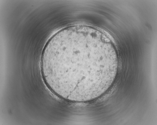 X0000115030847200912071047