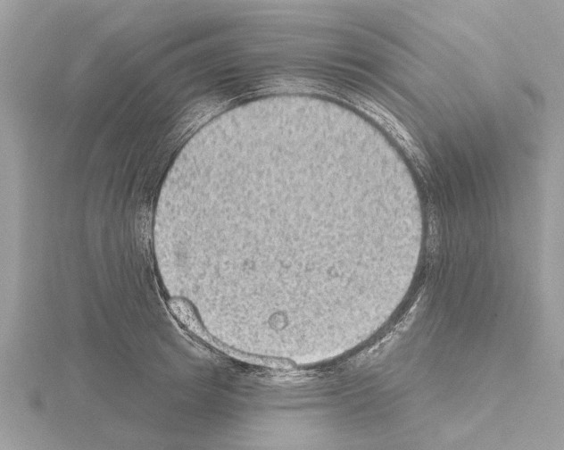 X0000115030849200912071047