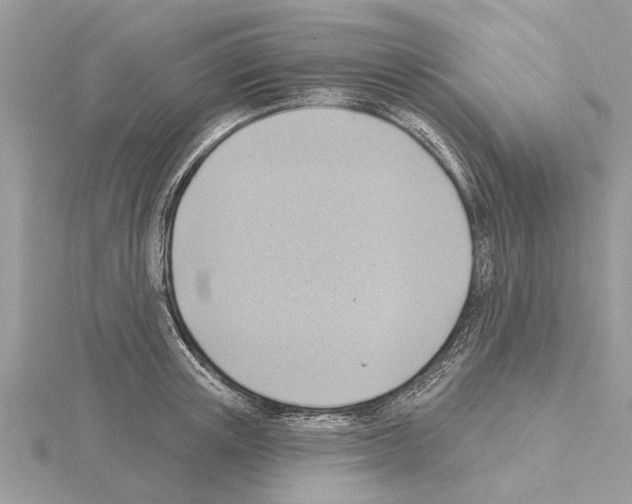 X0000115030851200912071047