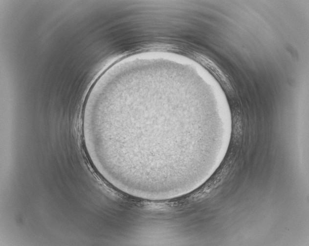 X0000115030852200912071047