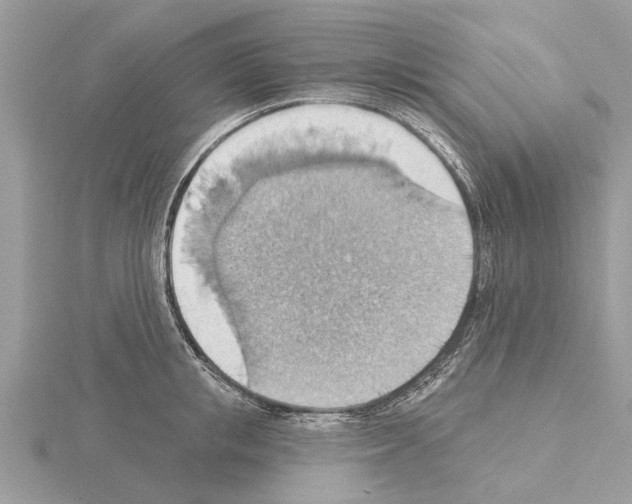 X0000115030853200912071047