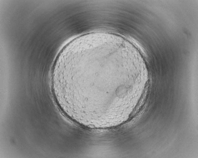 X0000115030854200912071047