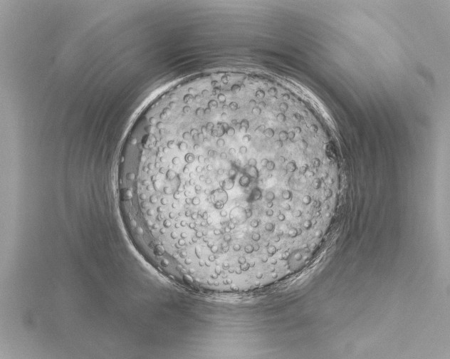 X0000115030855200912071047