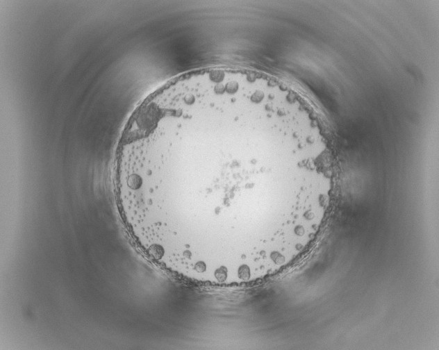 X0000115030856200912071047