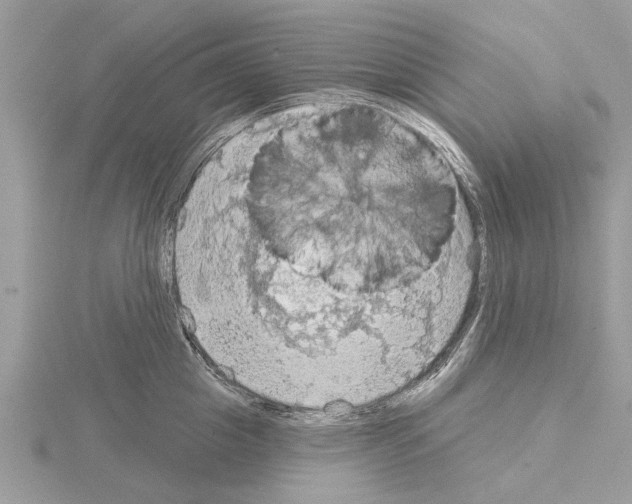 X0000115030857200912071047