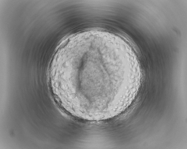 X0000115030858200912071047