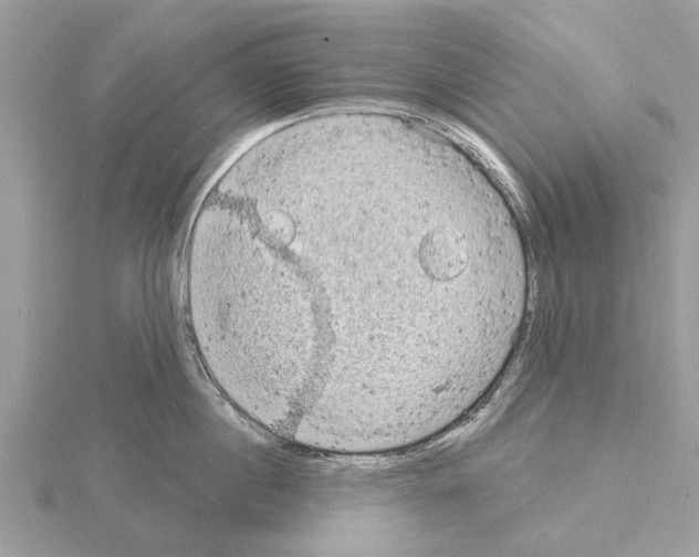 X0000115030860200912071047