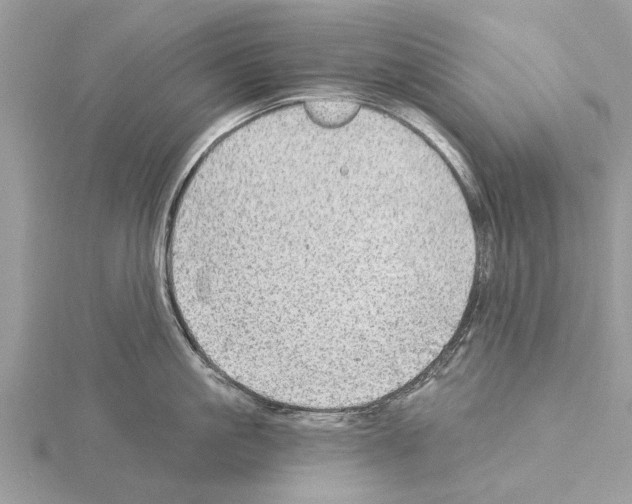 X0000115030861200912071047