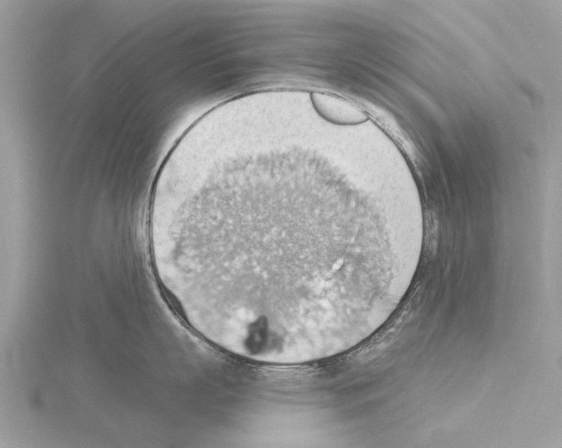 X0000115030863200912071047