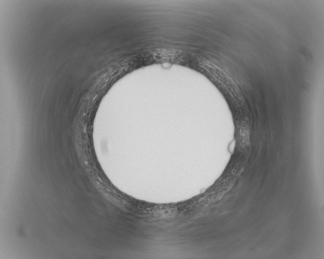 X0000115030865200912071047