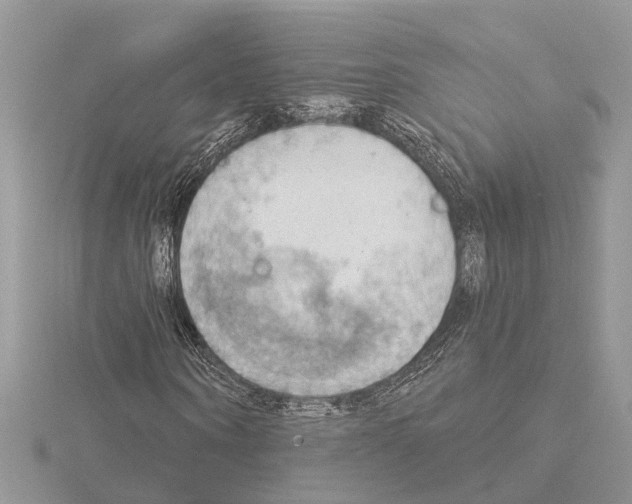 X0000115030866200912071047