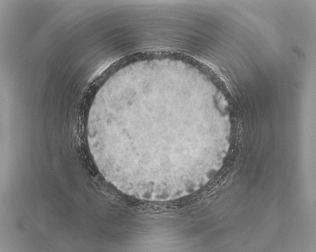 X0000115030871200912071046