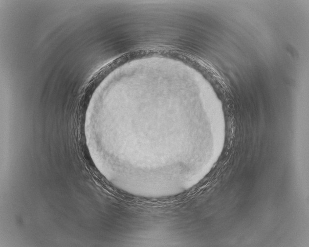 X0000115030872200912071046