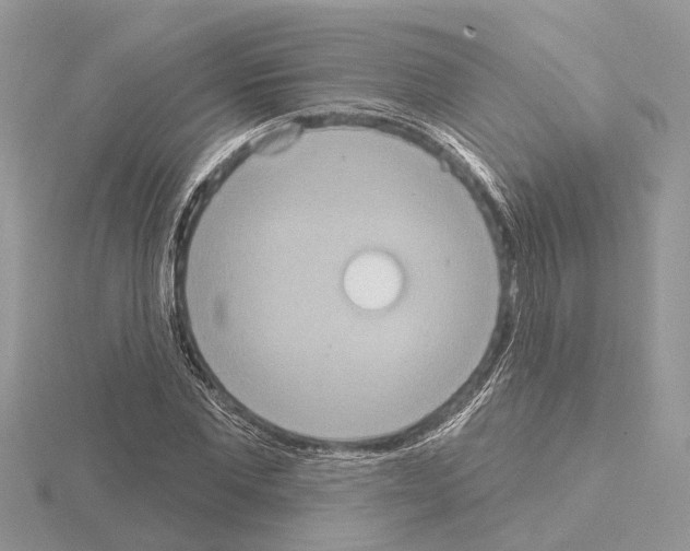 X0000115030877200912071046