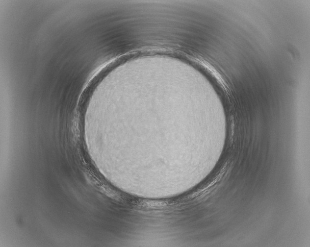 X0000115030878200912071046