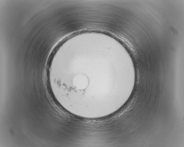 X0000115030880200912071046