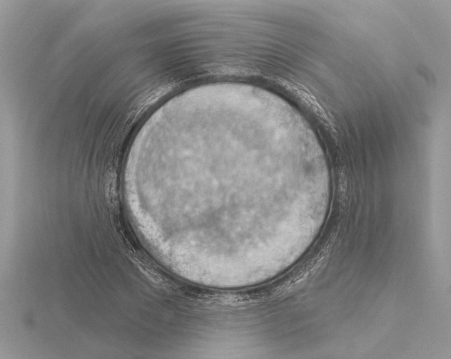 X0000115030881200912071046