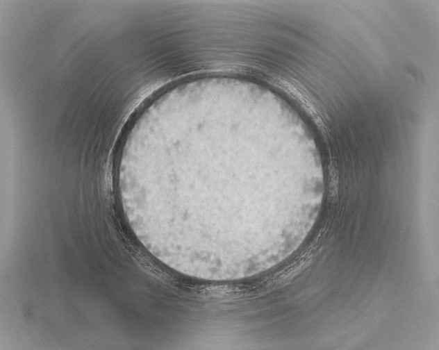 X0000115030883200912071046